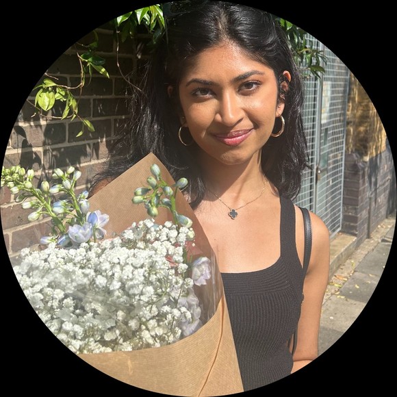 apiprottar